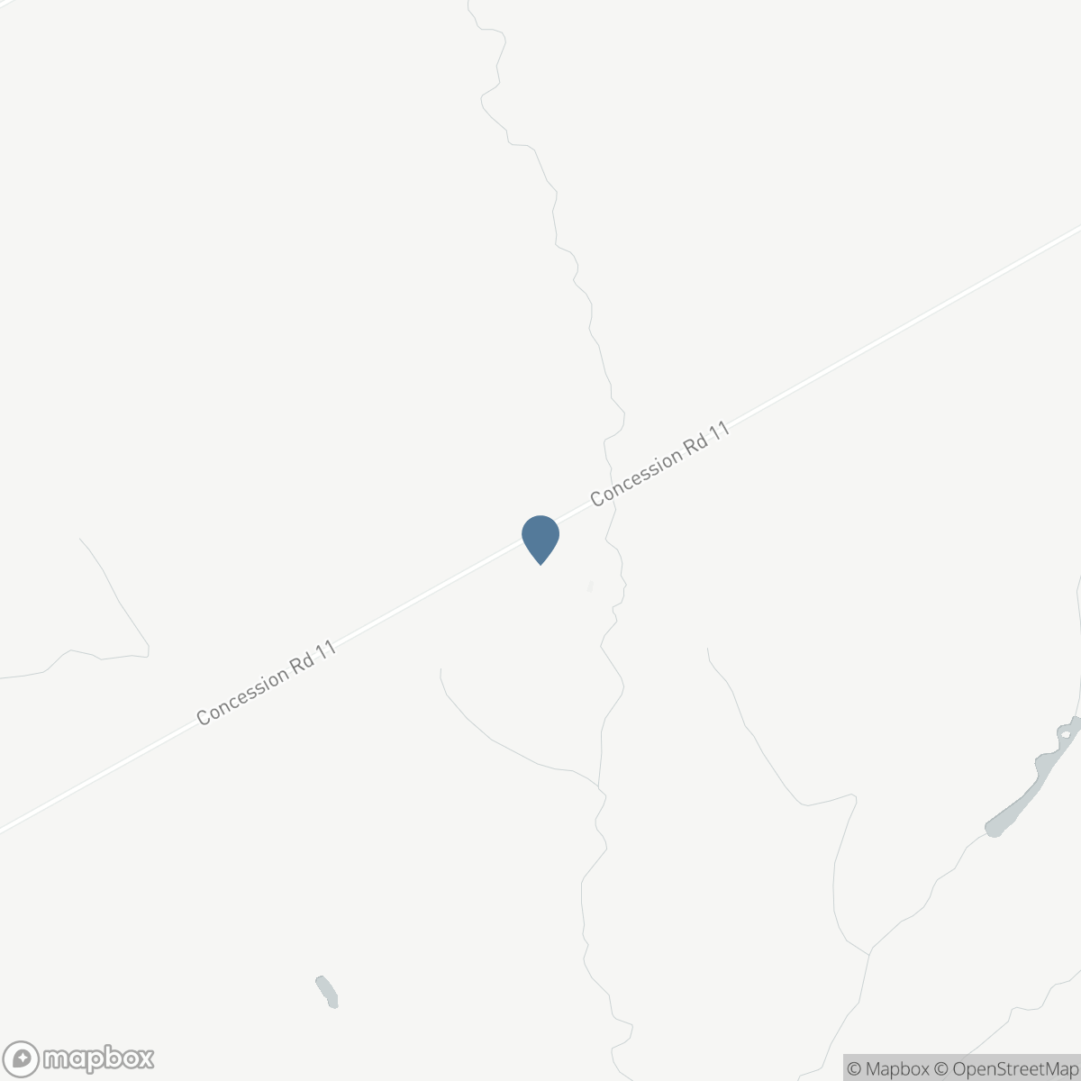 244 11TH CONCESSION ROAD, Langton, Ontario N0E 1G0